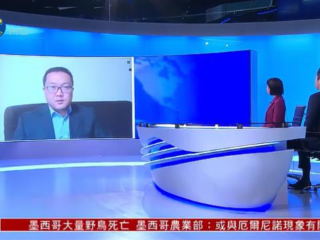 郑润宇接受凤凰卫视《时事直通车》采访，评价普京圣彼得堡经济论坛讲话
